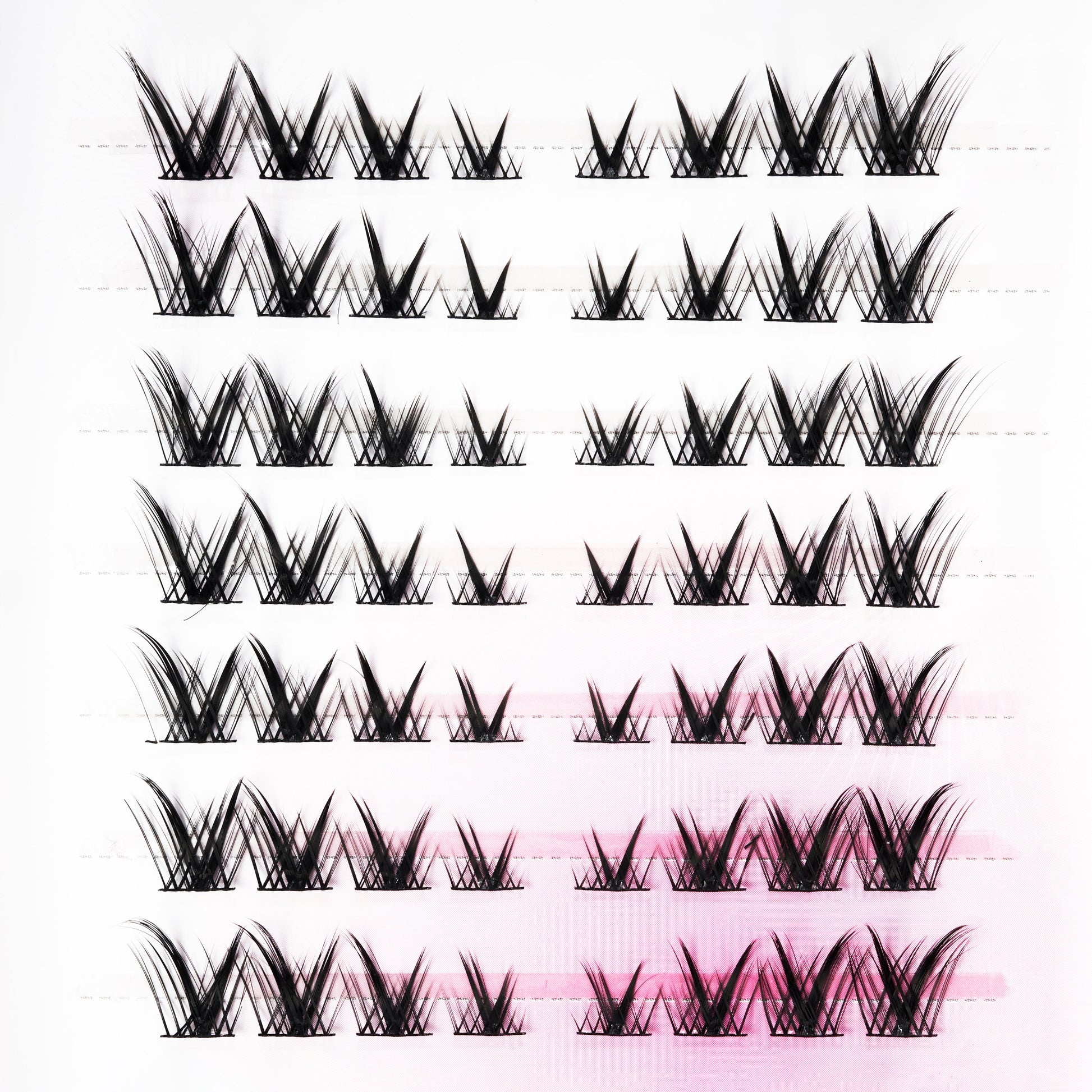 Assorted dramatic black false eyelashes arranged in rows on a white and pink gradient background.