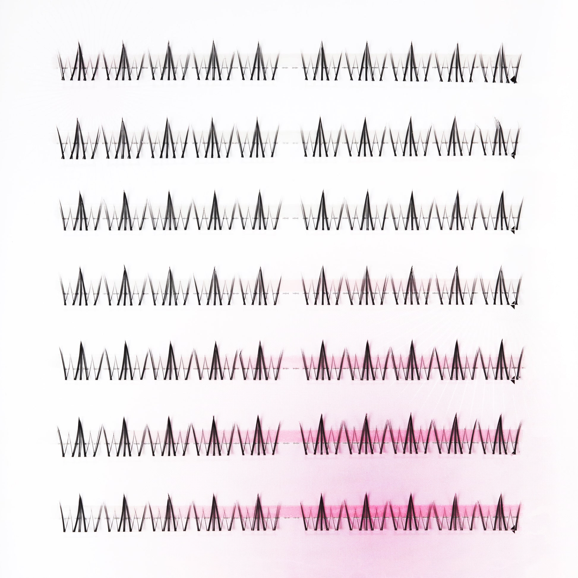 Multiple rows of handmade false eyelash extensions arranged on a white background