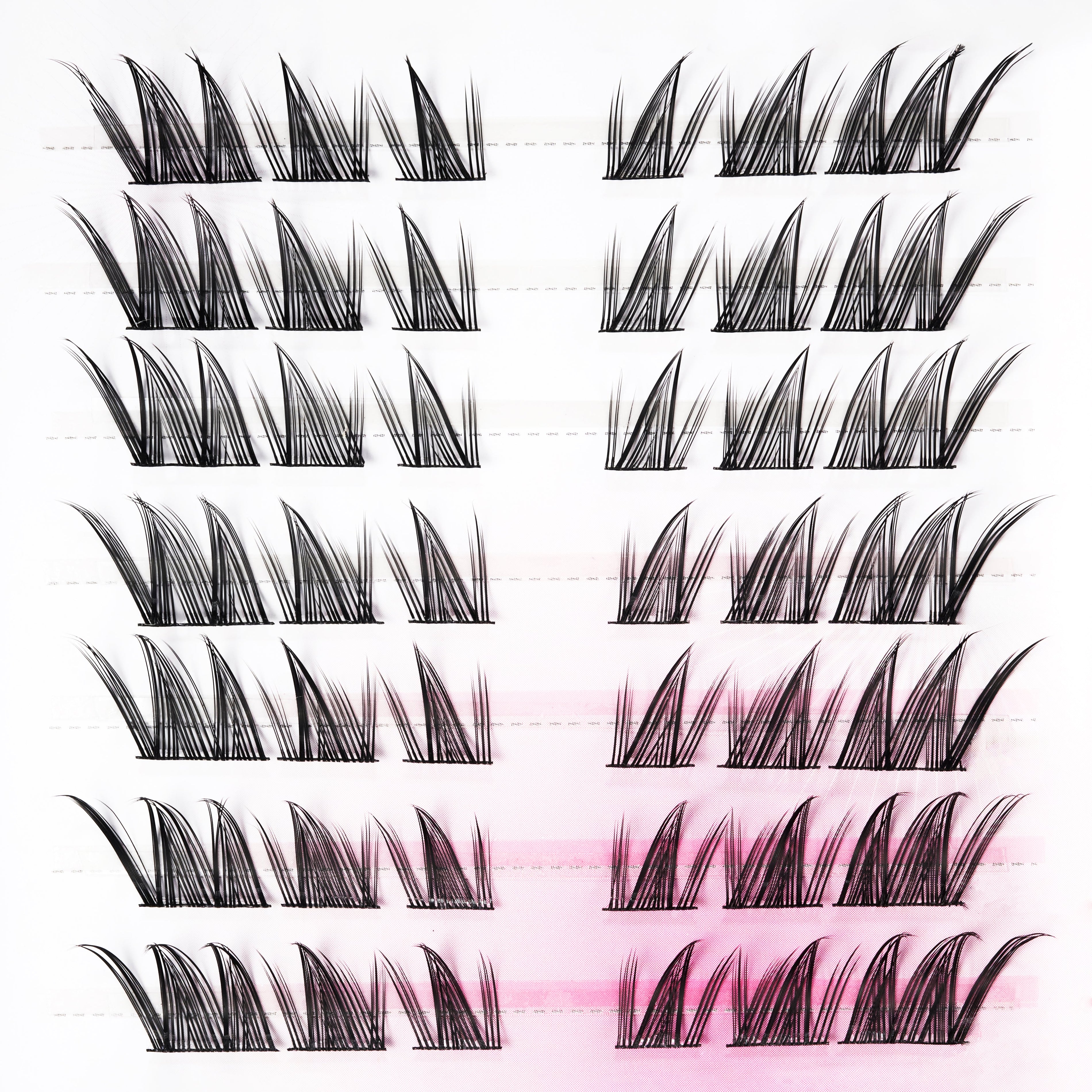 Assorted individual false eyelash clusters arranged on a white and pink background.