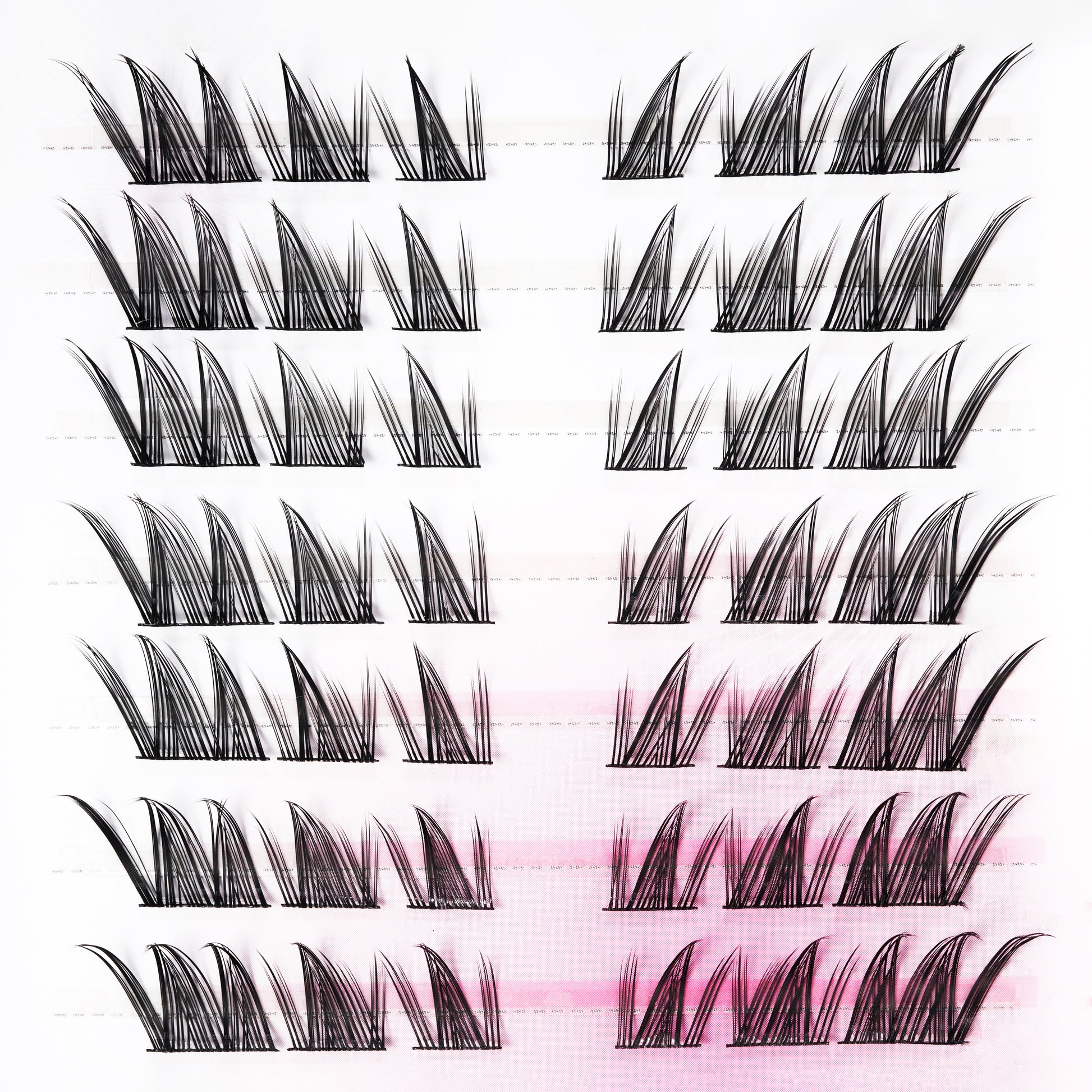 Assorted individual false eyelash clusters arranged on a white and pink background.