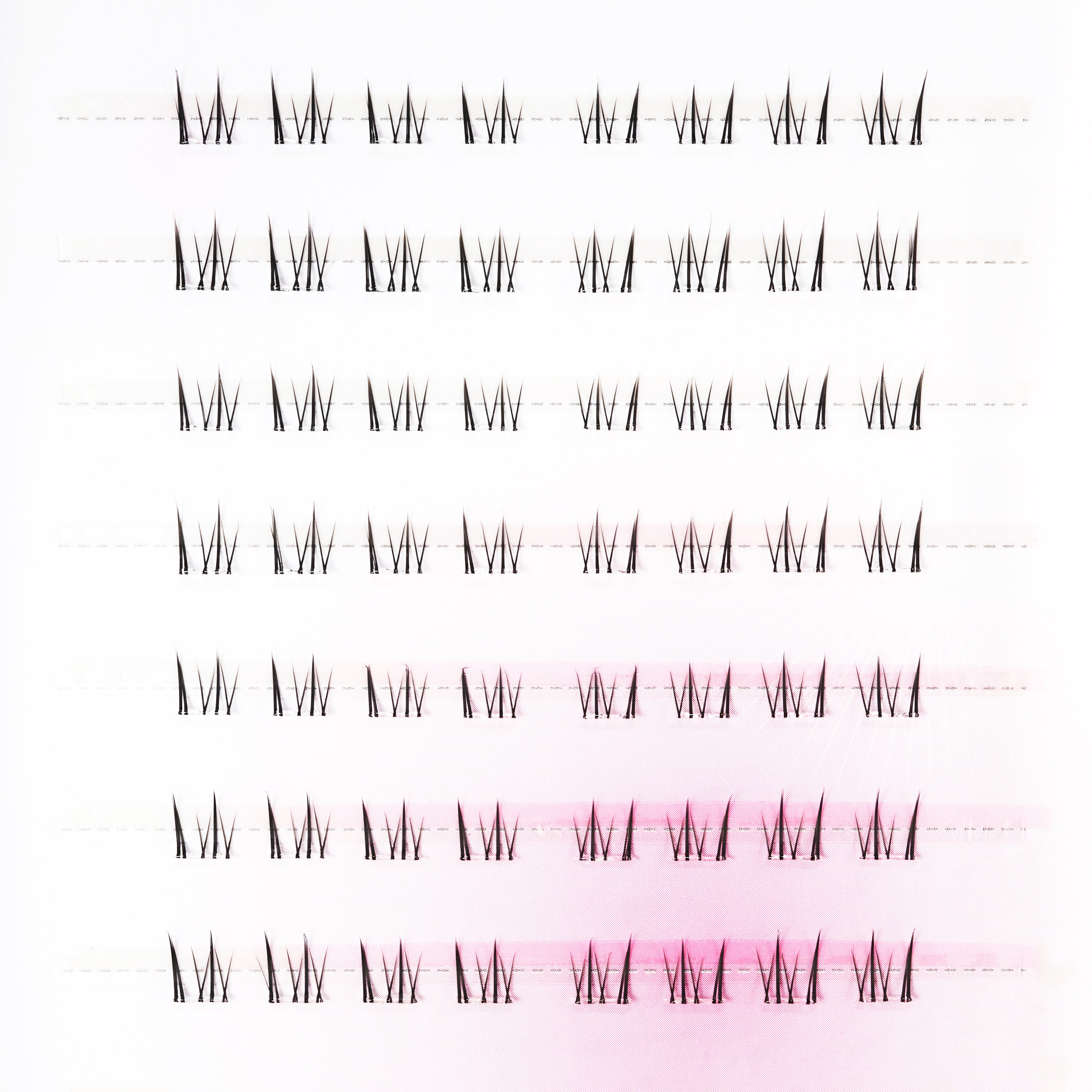 Tray of individual lash extensions arranged in neat rows on a white and pink background