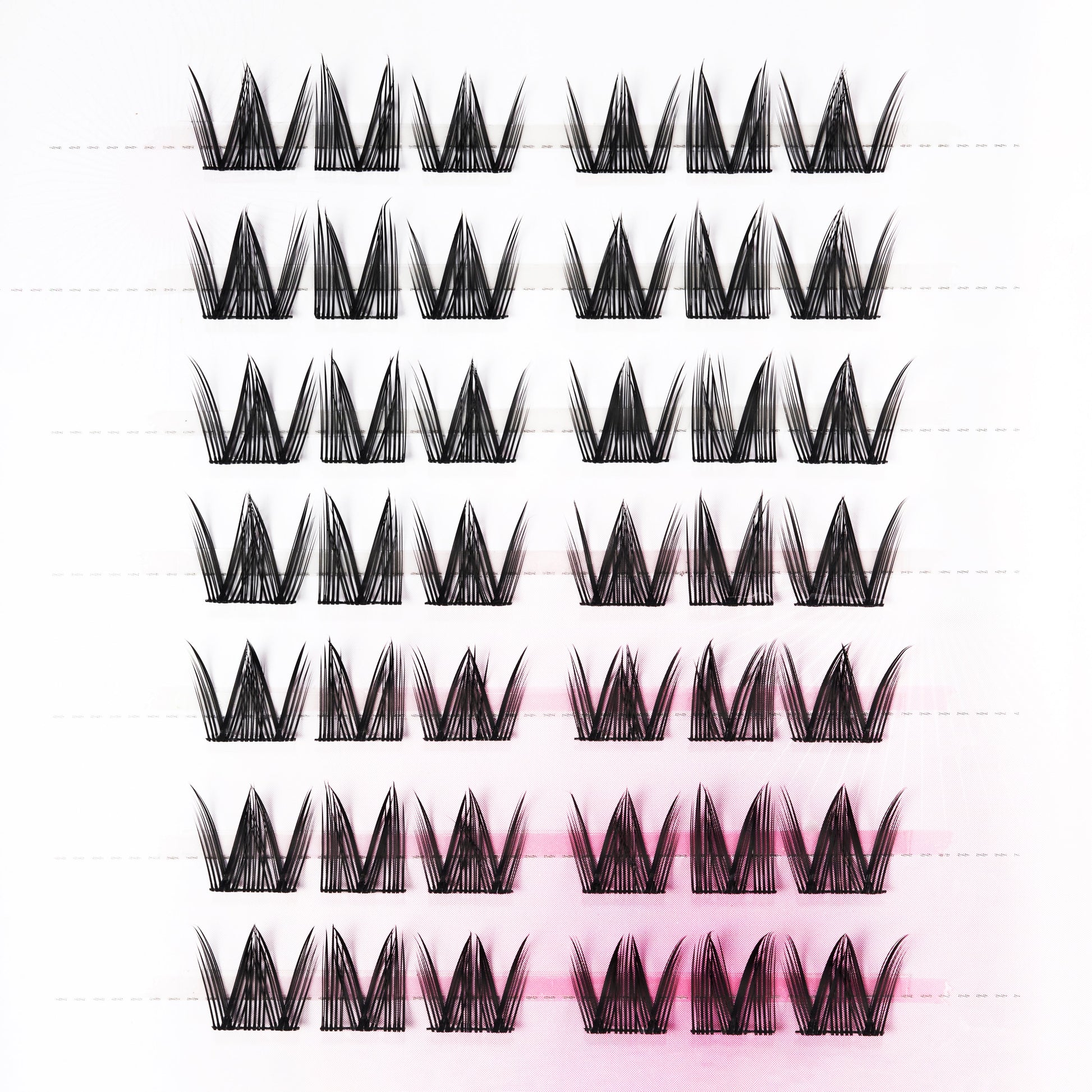 Tray of black wispy cat-eye false eyelash clusters on white background