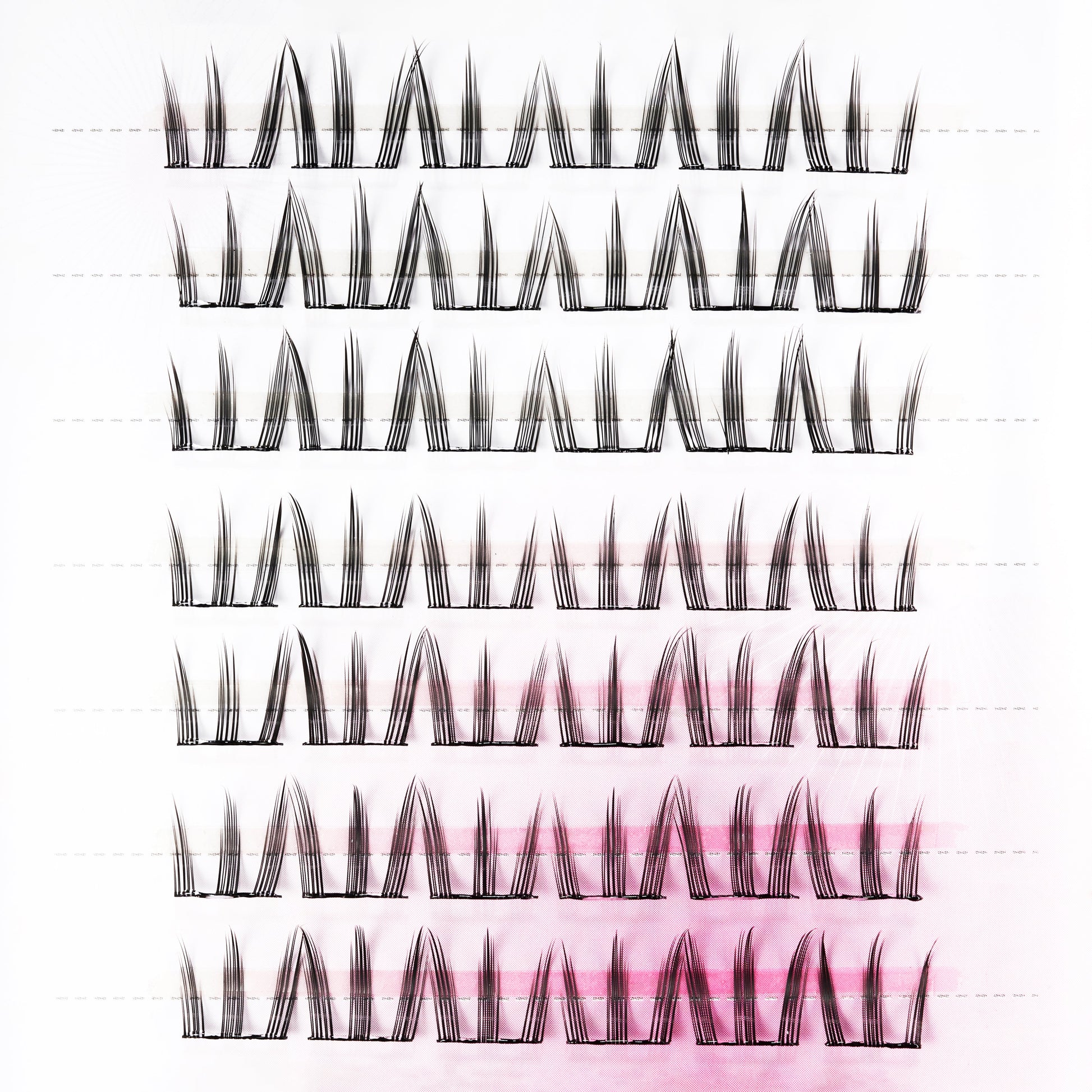Close-up of multiple rows of handmade lash clusters on a white and pink background