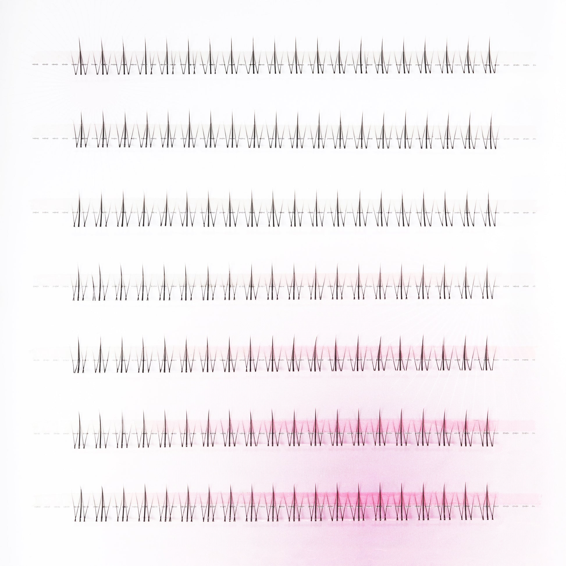 Multiple rows of handmade individual eyelash extensions on a white and pink tray background