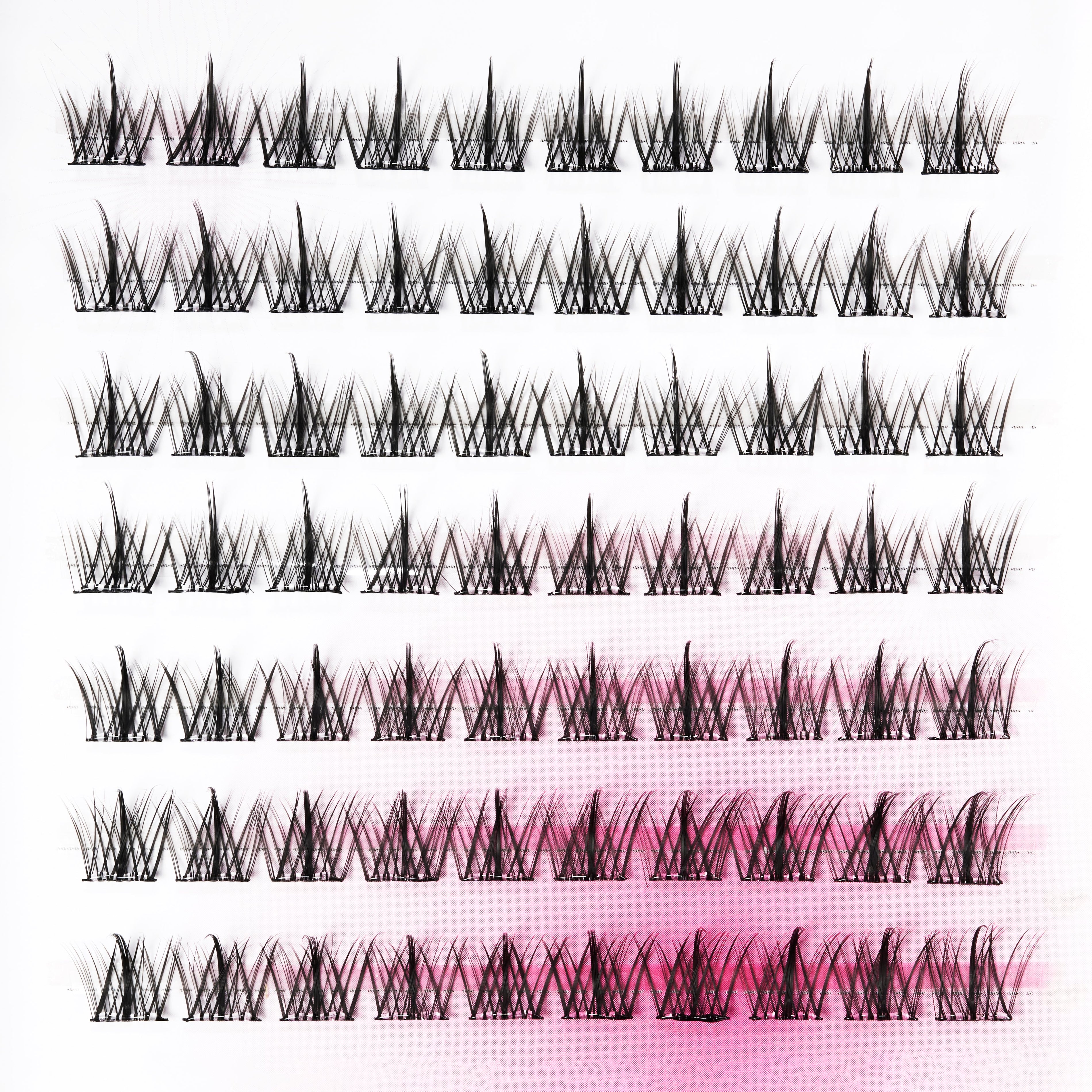 Close-up of multiple rows of individual dramatic false eyelashes on a white background with pink tint.