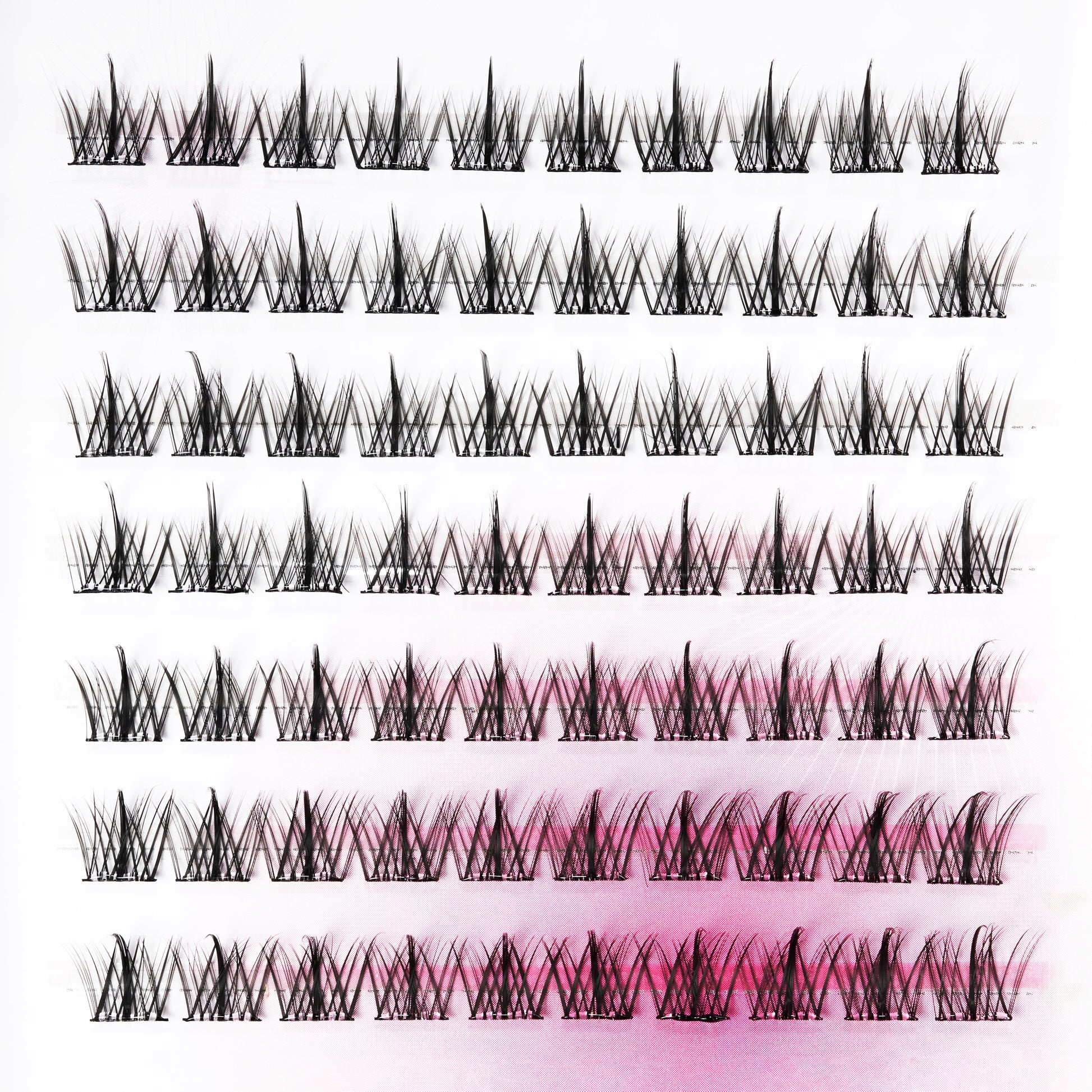 Close-up of multiple rows of individual dramatic false eyelashes on a white background with pink tint.